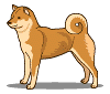 akita_anim.gif (3766 bytes)